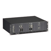 Black Box LMC5203A Specifications
