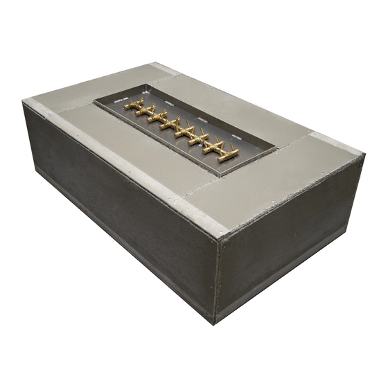 Warming Trends CFB60 NG Owner's Manual And Instruction Manual