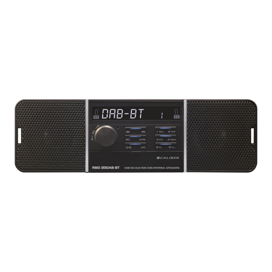 Caliber RMD 213DAB-BT Manual