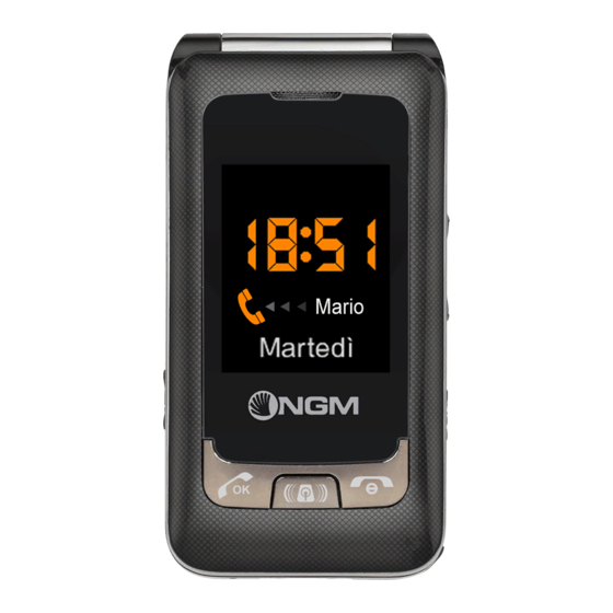 NGM facile sempre Quick Manual