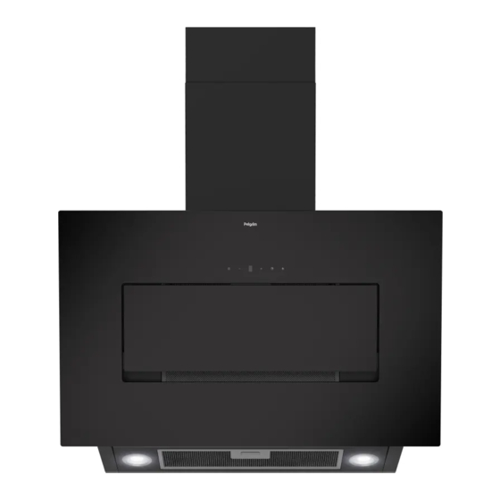Pelgrim DSG861 Series Instructions For Use Manual