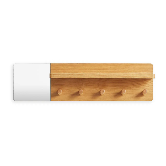BluDot Candid Wall Shelf with Hooks Manual