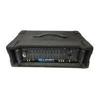 Laney DP300 User Manual