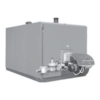 Riello RTQ 91 Installation, Operation, Maintenance And Owner's Manual