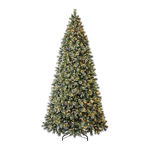 Home Accents Holiday TGC0M3ACDL10 Manual