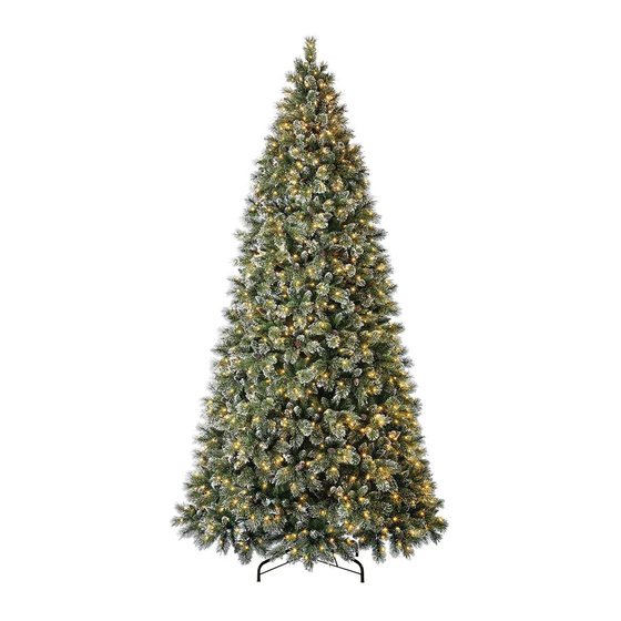 Home Accents Holiday TGC0M3ACDL10 Manual
