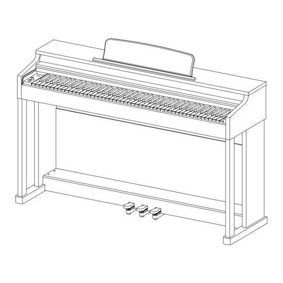 McGrey DP-19 User Manual