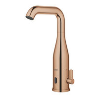 Grohe ESSENCE E 36445A00 Manual