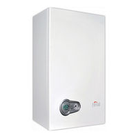 Ferroli BLUEHELIX TECH S 45H Instructions For Use, Installation And Maintenance