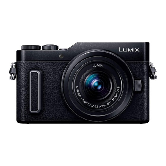 Panasonic LUMIX DC-GF10W Basic Operating Instructions Manual