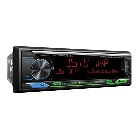 DS18 SDX-P100 Owner's Manual