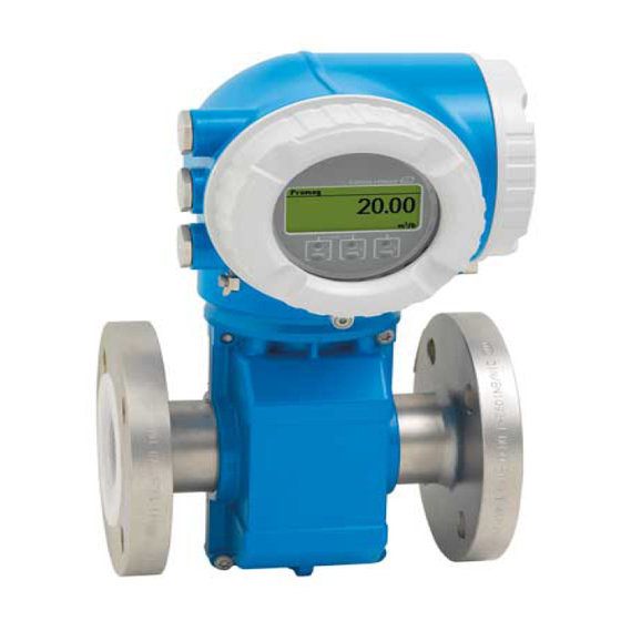 Endress+Hauser Proline Promag 300 Special Documentation