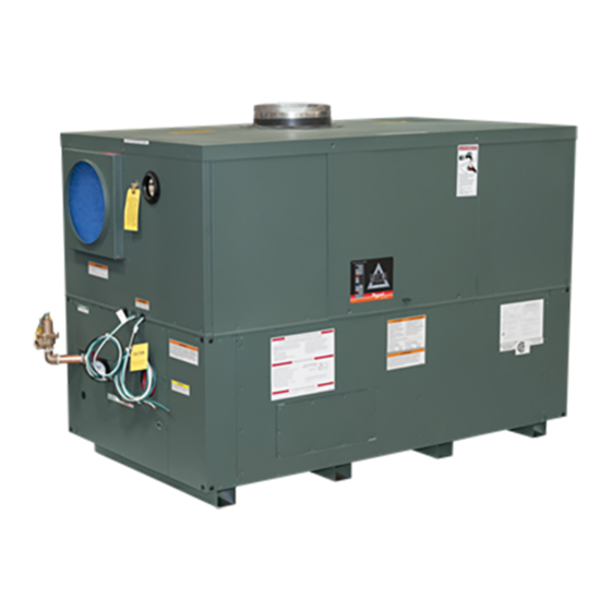 Rheem Raypa DELTA 399B Installation And Operation Manual