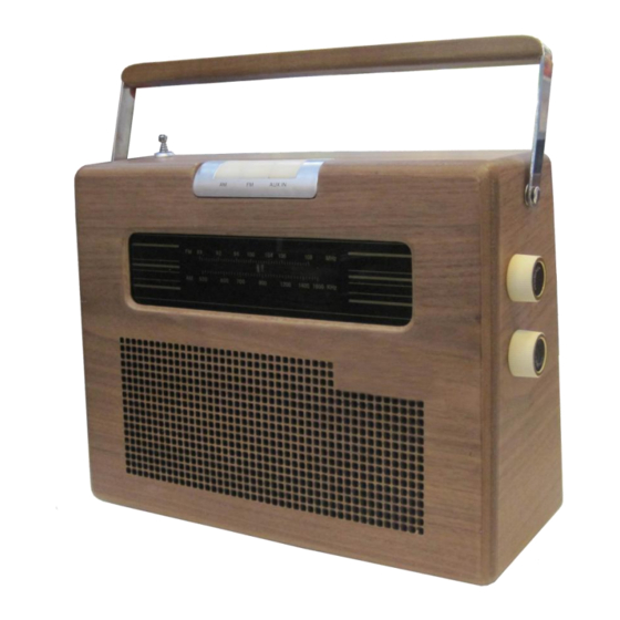Ricatech PR390 User Manual
