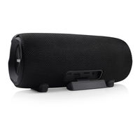 Niceboy RAZE 3 RADION Manual