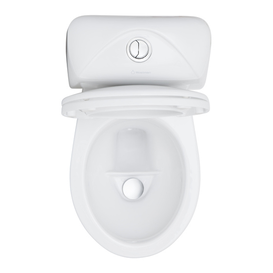 Wostman Ecoflush Troubleshooting