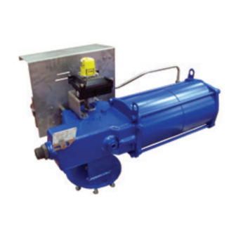 BIFFI RPS Installation, Operation And Maintenance Manual