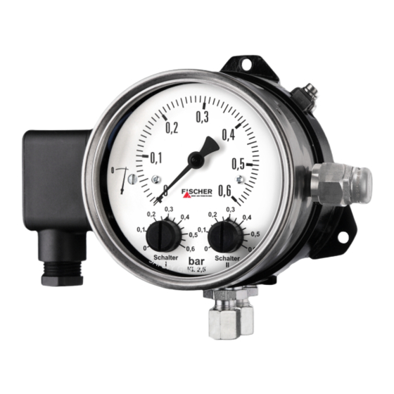 FISCHER DS21xxxH series Operating Manual
