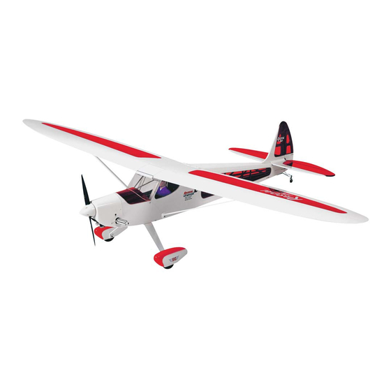 SIG Rascal 110 Manual Update