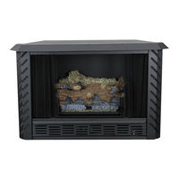 Ashley AGVF340LP Installation And Operating Manual