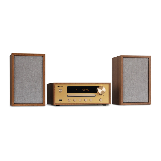 auna Berklee Hifi Manuals