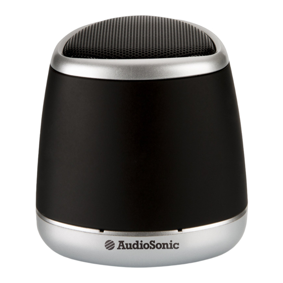 AudioSonic SK-1504 Instruction Manual