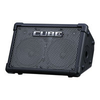 Roland CUBE-STEX Service Notes