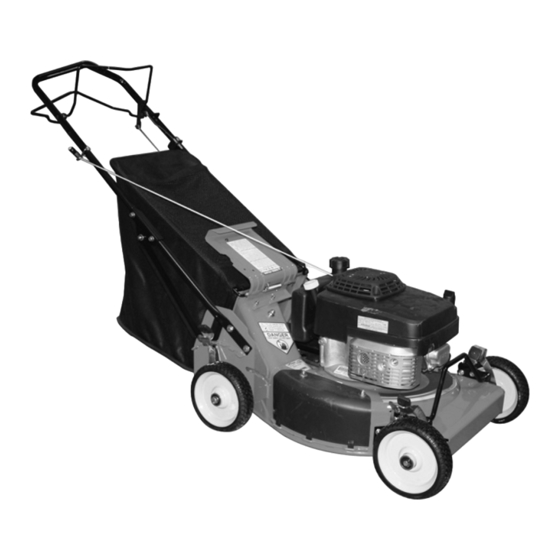 Ariens Pro 21 Manual