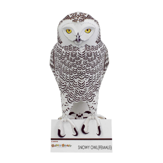 Canon Paper Craft Snowy owl (Female) Assembly Instructions Manual