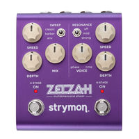 Strymon Zelzah User Manual