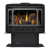 Continental Fireplaces CDVS500-1 Installation And Operation Manual