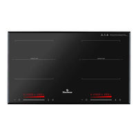 Bluestone ICB-6917 User Manual