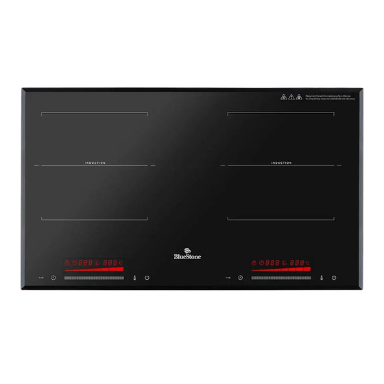 Bluestone ICB-6917 User Manual