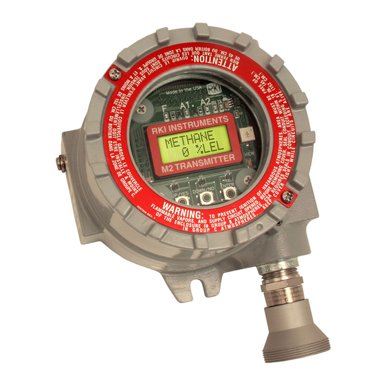 RKI Instruments 65-2645RK-05-04 Operator's Manual
