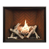 Town & Country Fireplaces TC54D Operator's Manual
