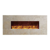Dynasty Fireplaces BG-100/with Stone Frame Owner's Manual