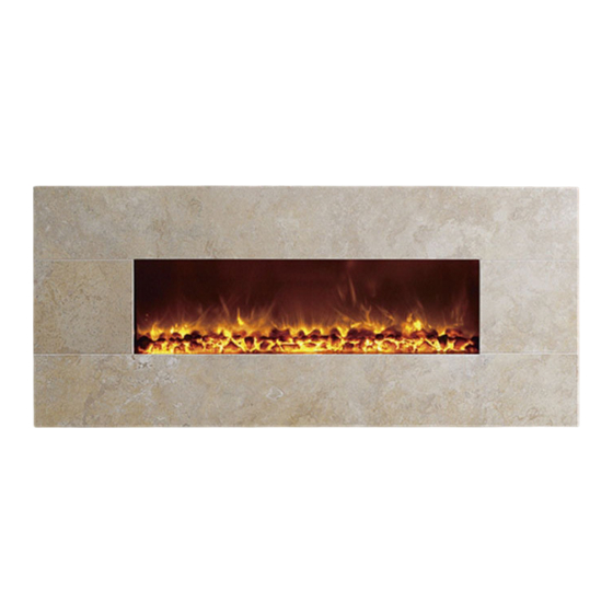 Dynasty Fireplaces BG-58/with Stone Frame Owner's Manual