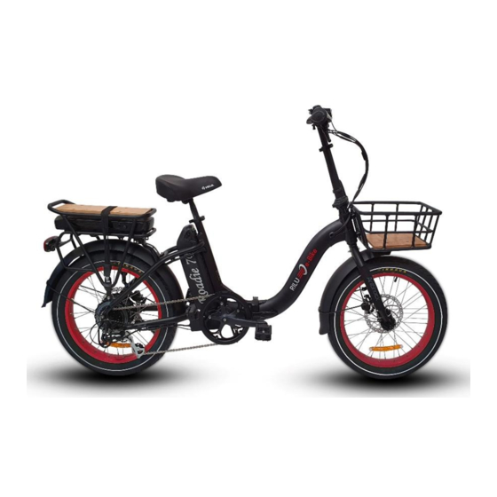 Rilu Roadie 7D User Manual