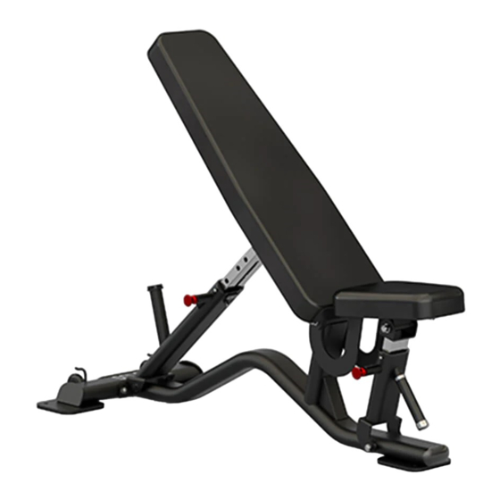 Sole Fitness SFI100 Owner's Manual