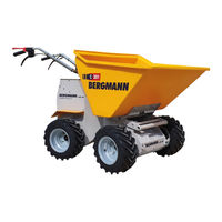 bergmann C301 Operator's Manual