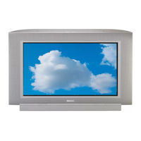 PHILIPS 21PT6807 Product Information