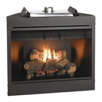 White Mountain Hearth BVD36FP52 Installation Instructions And Owner's Manual