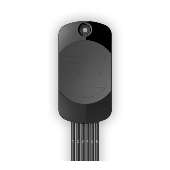 iBlue immobilizer User Manual