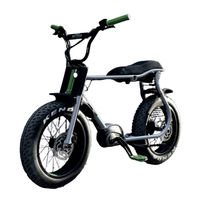 Ruff Cycles Lil'Buddy Original Operating Manual