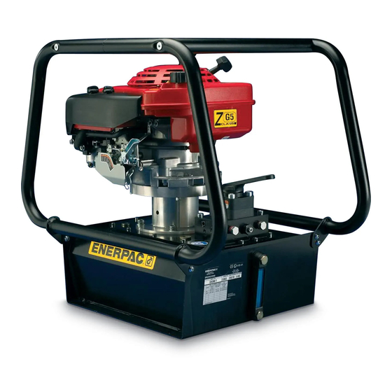 Enerpac ZG Series Instruction Sheet