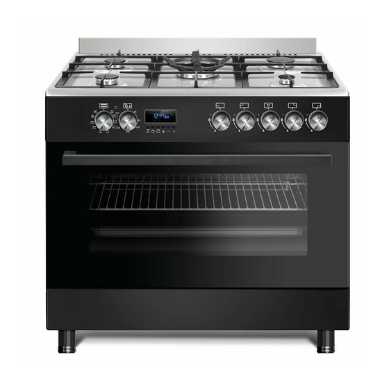 Tisira TFGC919X User Manual