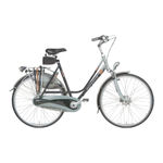 Gazelle bike User Manual