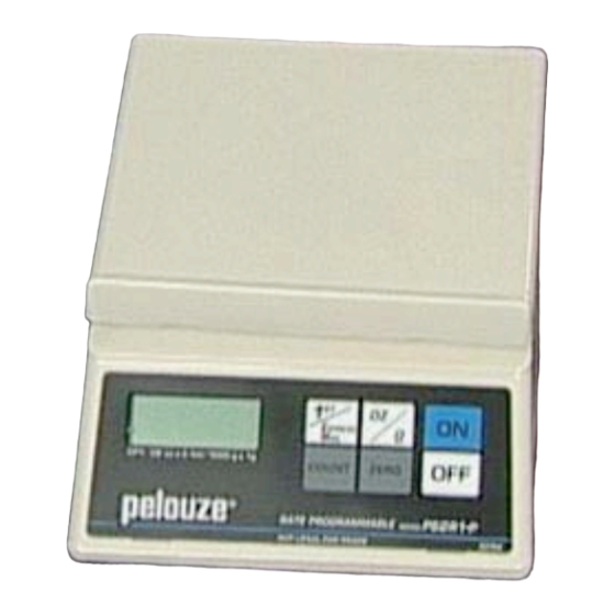 Pelouze PS2R1-P Replacement Instructions Manual