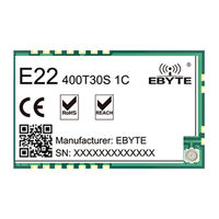 Ebyte E103-W02DTU User Manual