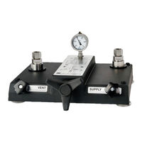 WIKA CPP120-X Operating Instructions Manual